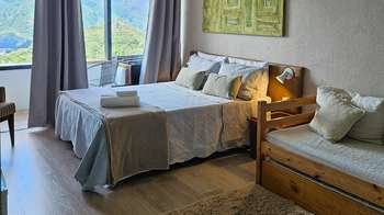 quarto-plus